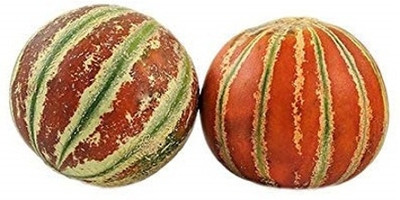 KNESSiN KHARBUZA DESI/Muskmelon[200 Seeds] Seed(200 per packet)