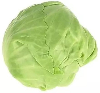 MYLAWN Green Cabbage (पत्ता गोभी के बीज) Seed(500 per packet)