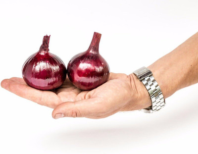 Qualtivate PUA-1A Onion Red Baron Neutral Giant Seed(500 per packet)