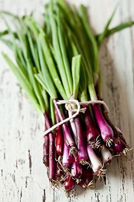 Biosnyg Non GMO Red Spring Onion Vegetable Seeds for Garden-(3000 Seeds) Seed(3000 per packet)
