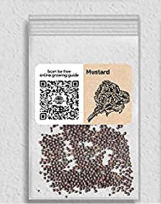 WILLVINE F1 Hybrid Mustard-5000 Seeds Seed(5000 per packet)