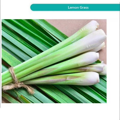 Quentova Organic Lemon Grass-HQ-6M Seed(25 per packet)