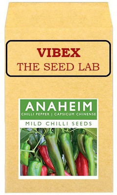 CYBEXIS Mild Chilli Pepper Hybrid Seeds2400 Seeds Seed(2400 per packet)