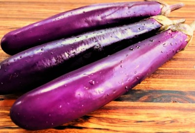 UGRA Chinese Eggplant Purple Shine Seed(200 per packet)