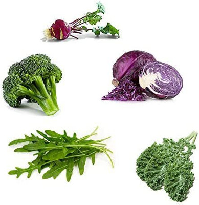 WILLVINE LXI-806 Spicy Salad Mixture of Seeds Seed(200 per packet)