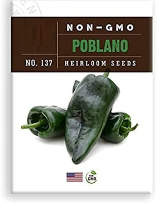 Qualtivate PUA-4A Poblano Chilli Pepper Seed(300 per packet)