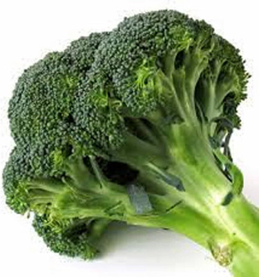 Qualtivate HYB-1A Broccoli Calabrese Heirloom Seeds Seed(300 per packet)