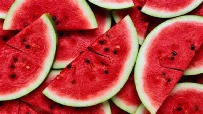 CYBEXIS GBPUT-44 - Jubilee Watermelon - (1350 Seeds) Seed(1350 per packet)