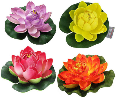 VNR VNR Lotus Flower Hybrid Quality Seed(10 per packet)