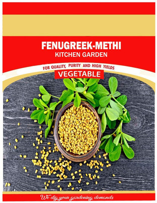 KNESSiN Trigonella Foenum-Graecum - Methi Fenu Greek[2000 Seeds] Seed(2000 per packet)