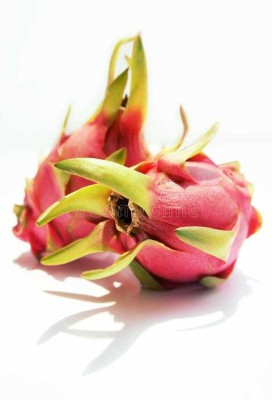 Oliver dragon fruit seed Seed(102 per packet)