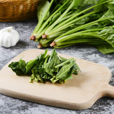 CYBEXIS Easy to Cultivate Perennial Non-GMO Spinach Seeds 4000 Seeds Seed(4000 per packet)