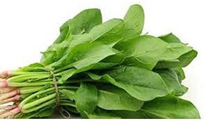 Cloud Farm Spinach Seed(30 per packet)