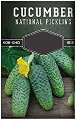 CYBEXIS Cucumber500 Seeds Seed(500 per packet)