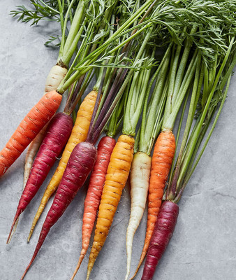 VibeX VXI-70 - Kaleidoscope Blend Carrot - (2250 Seeds) Seed(2250 per packet)