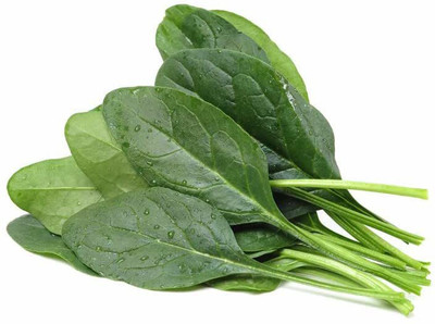 VibeX ® LXI-497 Acadia Spinach (Palak) Seed(500 per packet)