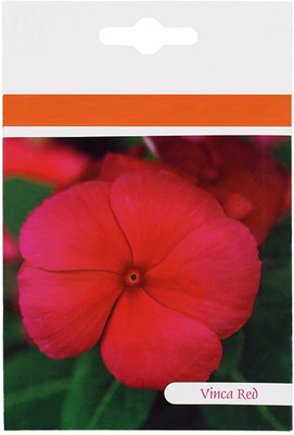 Qualtivate HUA-17 Vinca Red Flower Seeds Seed(100 per packet)