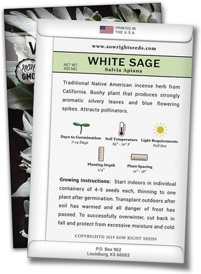 CYBEXIS XL-46 - White Sage to Plant - (1350 Seeds) Seed(1350 per packet)