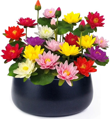 Bold Byte Japanese Lotus Flower Seeds, Flower Seeds, Plant Seeds, Seeds Combo Pack Seed(10 per packet)