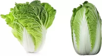 Aro Chinese Cabbage, Napa Seed(100 per packet)