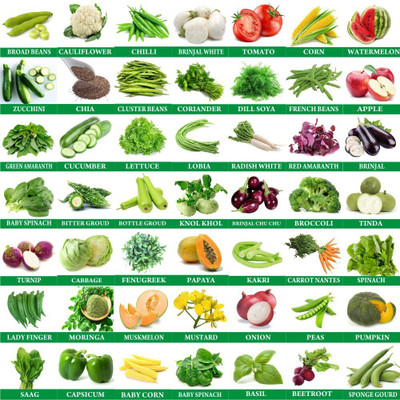 Greenery Hub 50-Vegetable Seeds Combo Seed(50 per packet)