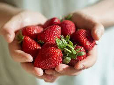XOLDAA F1 best quality hybrid strawberry Seed(80 per packet)