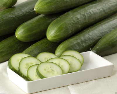 Avysa Ashley Cucumber Seeds, a Cucumber for HOT Summers-CuC_600 Seed(100 per packet)