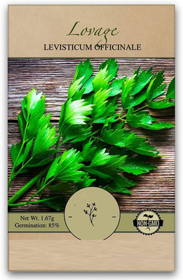 CYBEXIS NDIR-51 - Lovage Herb Plant - (2250 Seeds) Seed(2250 per packet)