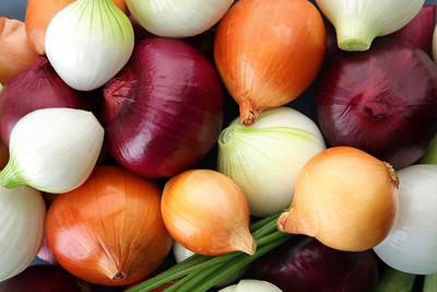 VibeX PAU-11 - Multicolor Onion Mix - (4500 Seeds) Seed(4500 per packet)