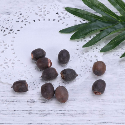 WILLVINE Plants Bowl Lotus Water Lily-[50 Seeds] Seed(50 per packet)