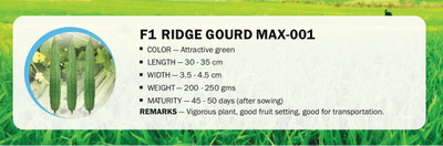 CYBEXIS F1 RIDGE GOURD MAX-001(100 Seeds) Seed(100 per packet)