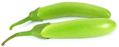 KANAYA Green Long Brinjal Seed(65 per packet)