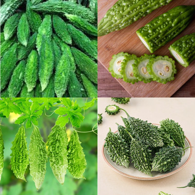 ibains Bitter gourd seeds for gardening 47 Seed(47 per packet)