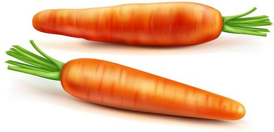 XOLDA Organic carrot Seed(11 per packet)