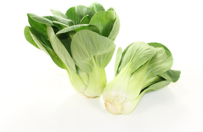 Quentova Pak Choi White Stem-IACR-7V Seed(200 per packet)