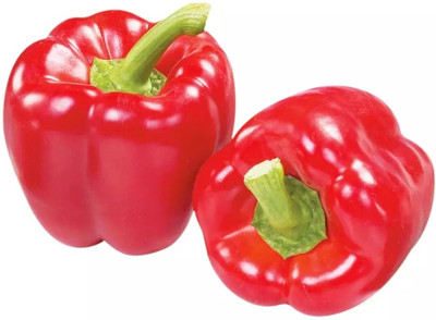 Quentova Organic Red Bell Pepper Capsicum-2K-KMT Seed(75 per packet)