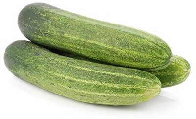 Qualtivate HUA-9A F1 Hybrid Cucumber SEEDS Seed(300 per packet)