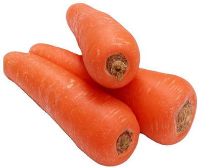 Quentova Orange Gajar Carrot Vegetable-8G-VXI Seed(200 per packet)
