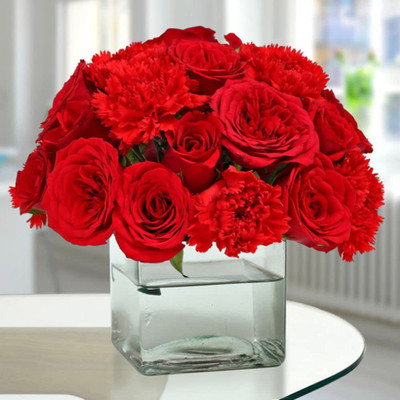 KANAYA Caenation Flower Seed(105 per packet)