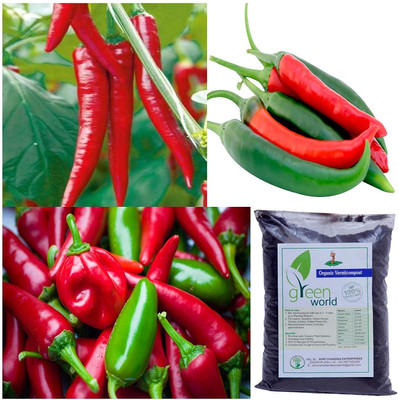WILLVINE SYN -VIII Chilli Jet Civic + Chilli Jwala + Chilli Grand Superior[5gm] Seed(1000 per packet)