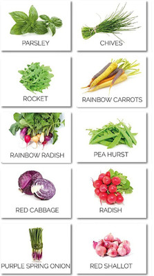CYBEXIS Heirloom Seed Varieties Included in This Seed(10 g)