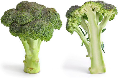 CYBEXIS Heirloom Broccoli Seeds GROENE Calabrese 2000 Seeds Seed(2000 per packet)