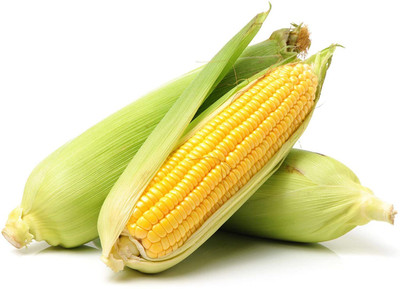 CYBEXIS Rare Yellow Corn Seeds2000 Seeds Seed(2000 per packet)