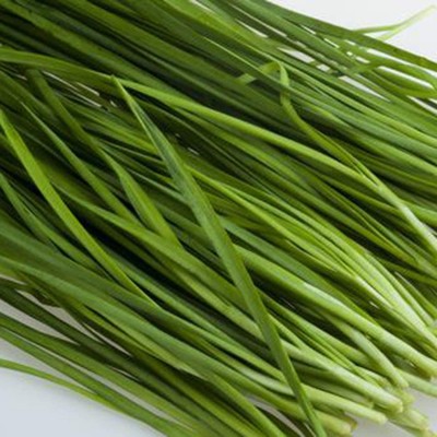 CYBEXIS F1 Hybrid Chives Seeds700 Seeds Seed(700 per packet)