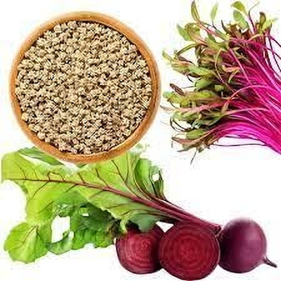 Aywal BEETROOT/TABLE BEET/GARDEN BEET/RED BEET/DINNER BEET Seed(275 per packet)