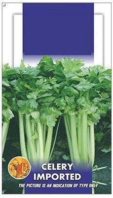 Cloud Farm Celery Stick Imported Tall Utah [1gm Seeds] Seed(1 g)