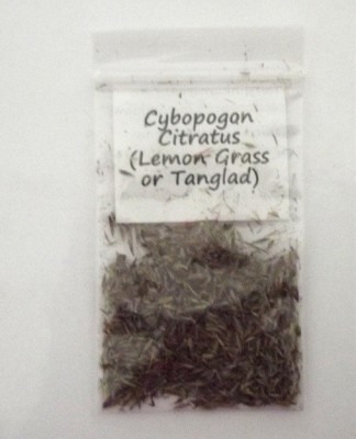 CYBEXIS GBPUT-95 - Lemon Grass Cymbopogon Flexuosus - (750 Seeds) Seed(750 per packet)