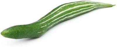 AloGardening Snake Gourd Seed(200 per packet)