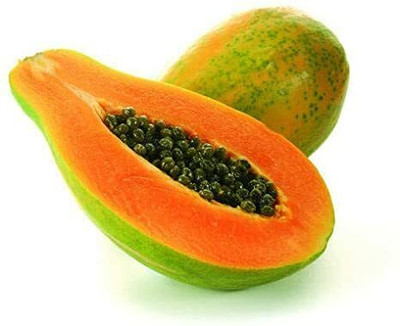 Quentova Papaya Seeds Dwarf Variety-XII-8H Seed(40 per packet)