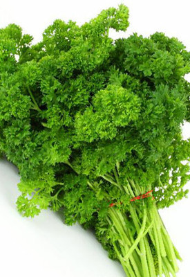 Quentova Parsley Moss Curled - Herb-GAV-5O Seed(150 per packet)